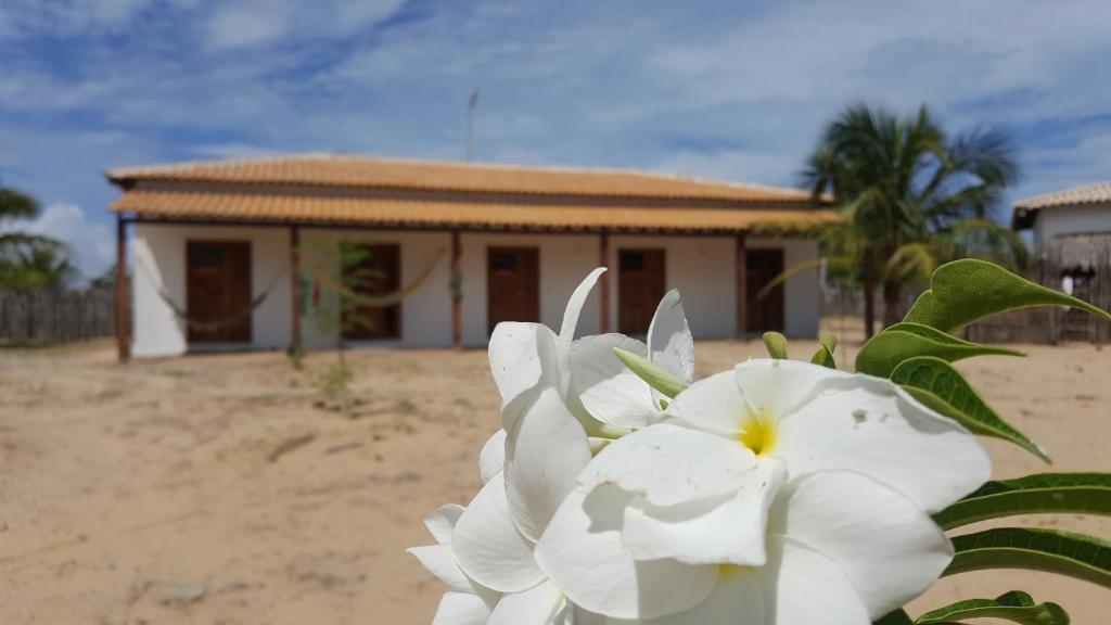 Miss Penelope room 4